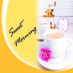 Vinyl Placemats Manufacturer Supplier Wholesale Exporter Importer Buyer Trader Retailer in Karim Paharganj India